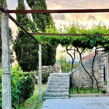 Apartman Boljevic Podgorica Luaran gambar