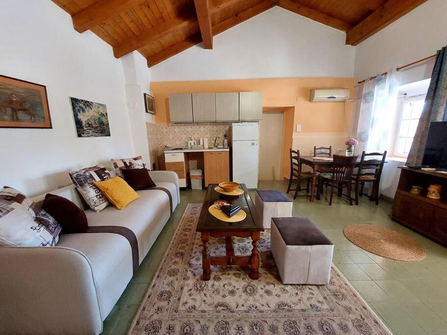 Apartman Boljevic Podgorica Luaran gambar