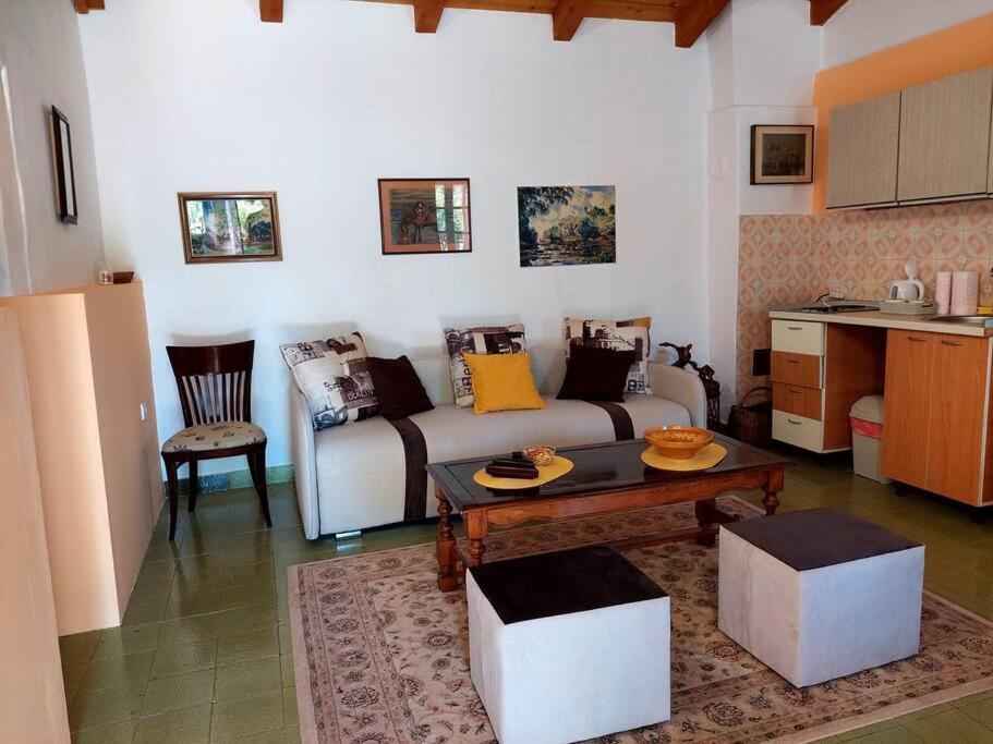 Apartman Boljevic Podgorica Luaran gambar
