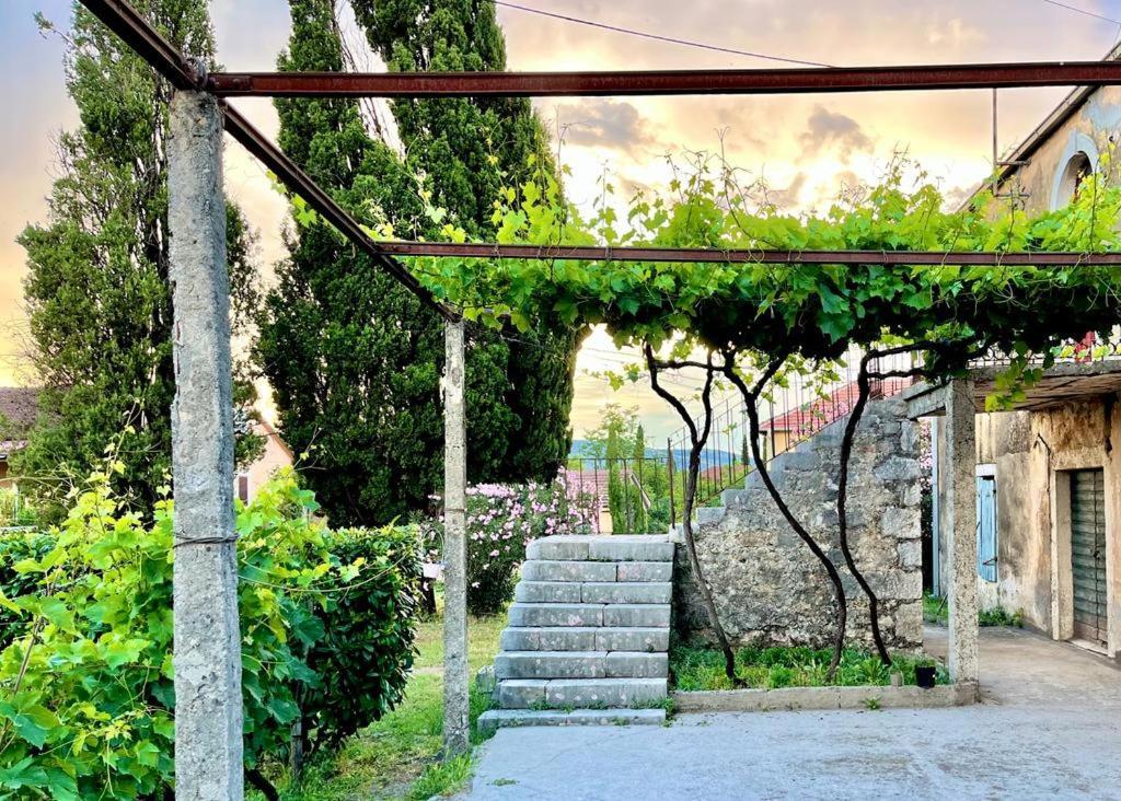 Apartman Boljevic Podgorica Luaran gambar