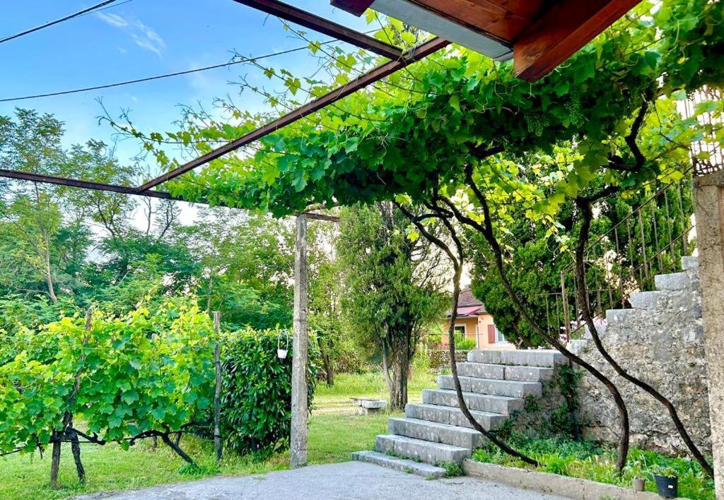 Apartman Boljevic Podgorica Luaran gambar