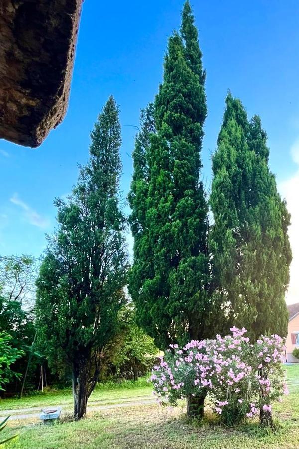 Apartman Boljevic Podgorica Luaran gambar
